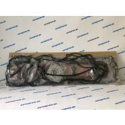 Ремкомплект двигателя  MITSUBISHI FUSO SUPER GREAT 10DC10 (полный)