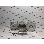 Поршни HINO PROFIA F20C ALFIN ORIGINAL   ( Цена за комплект 8 шт. )