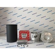 Поршневая группа HINO PROFIA F20C ALFIN L/R  ( Цена за комплект 8 шт. )