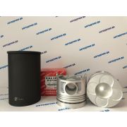 Поршневая группа HINO PROFIA F20C ALFIN   ( Цена за комплект 8 шт. )