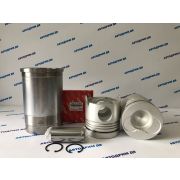 Поршневая группа  HINO PROFIA F17C ALFIN  STD LH / RH  ( Цена за комплект 8 шт. )