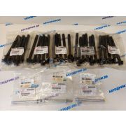 Болт ГБЦ ISUZU 6UZ1  ( Комплект 29 шт.)